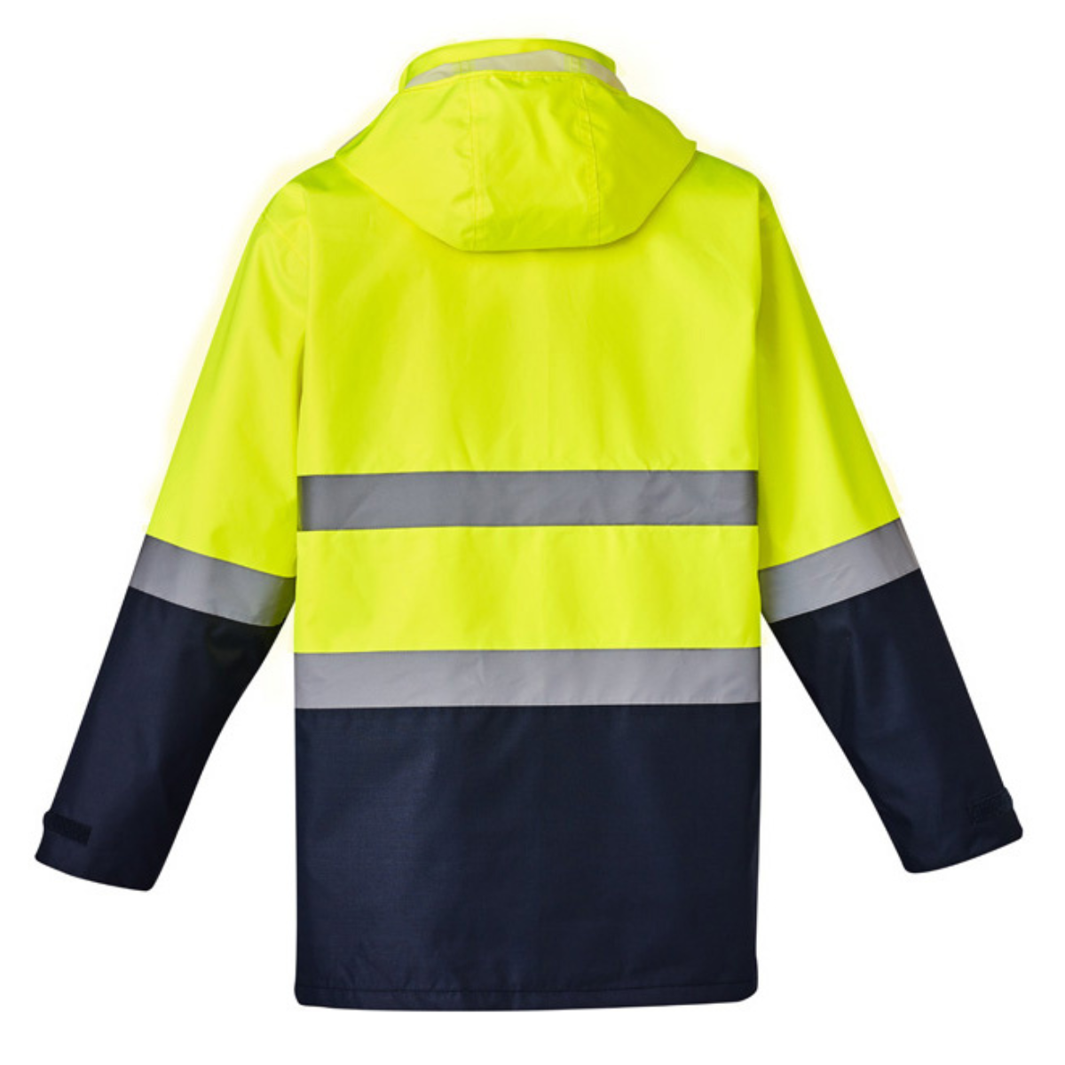 CSJ124-YN-Back