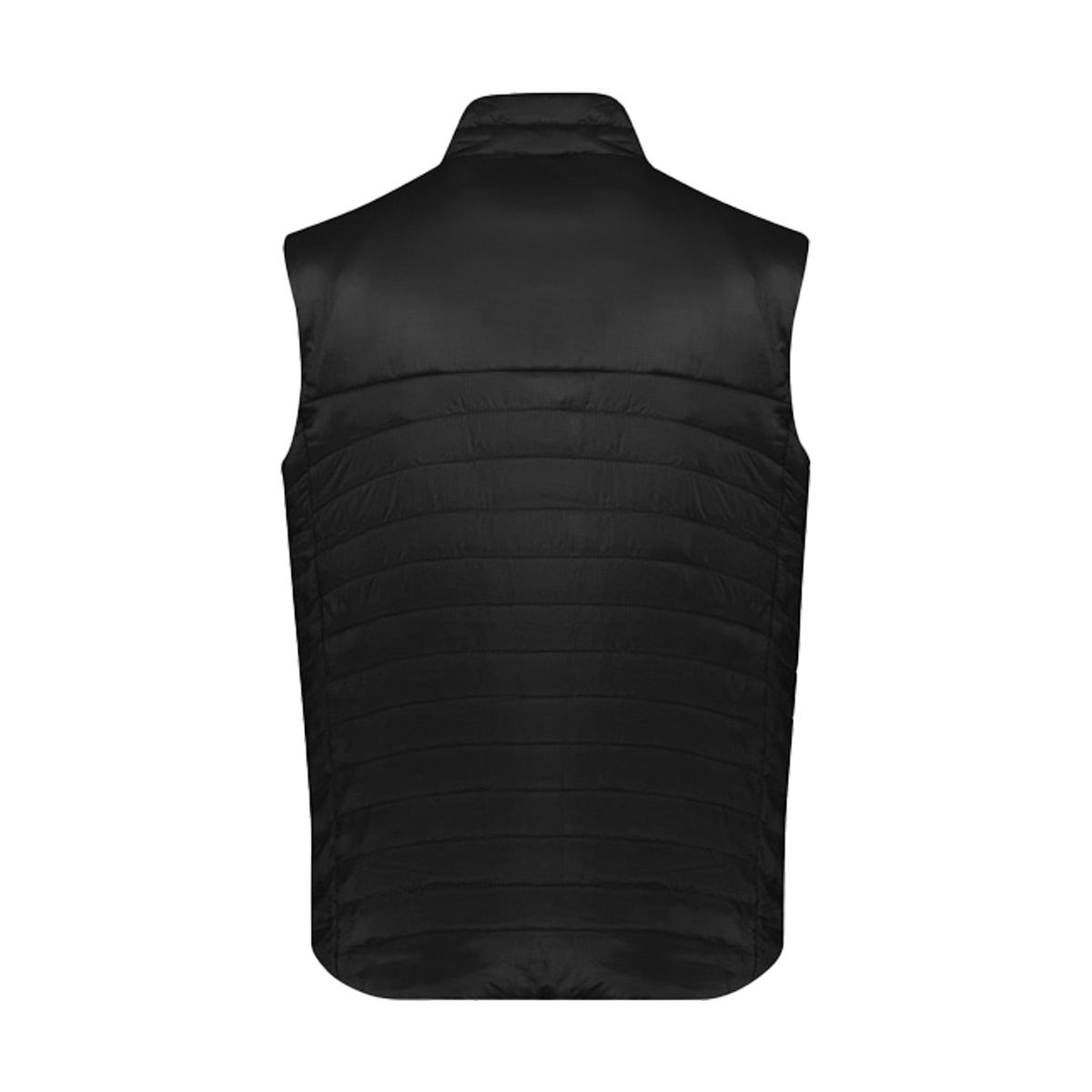 CORV010_black-back